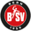 Logo BSV Future Bern 2