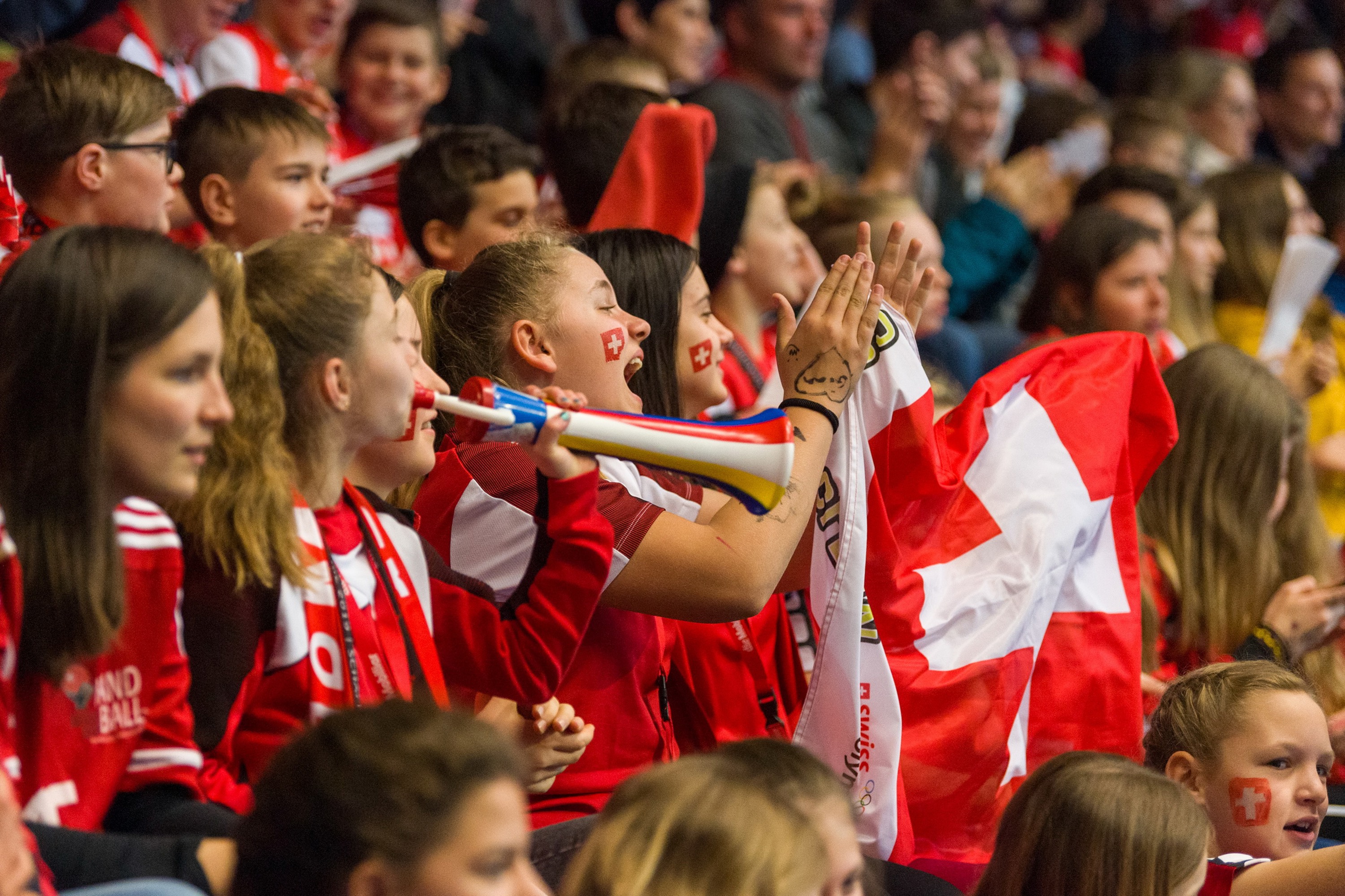 Fans am Heimspiel der Nationalmannschaft. (14. April 2019, Martin Deuring)
