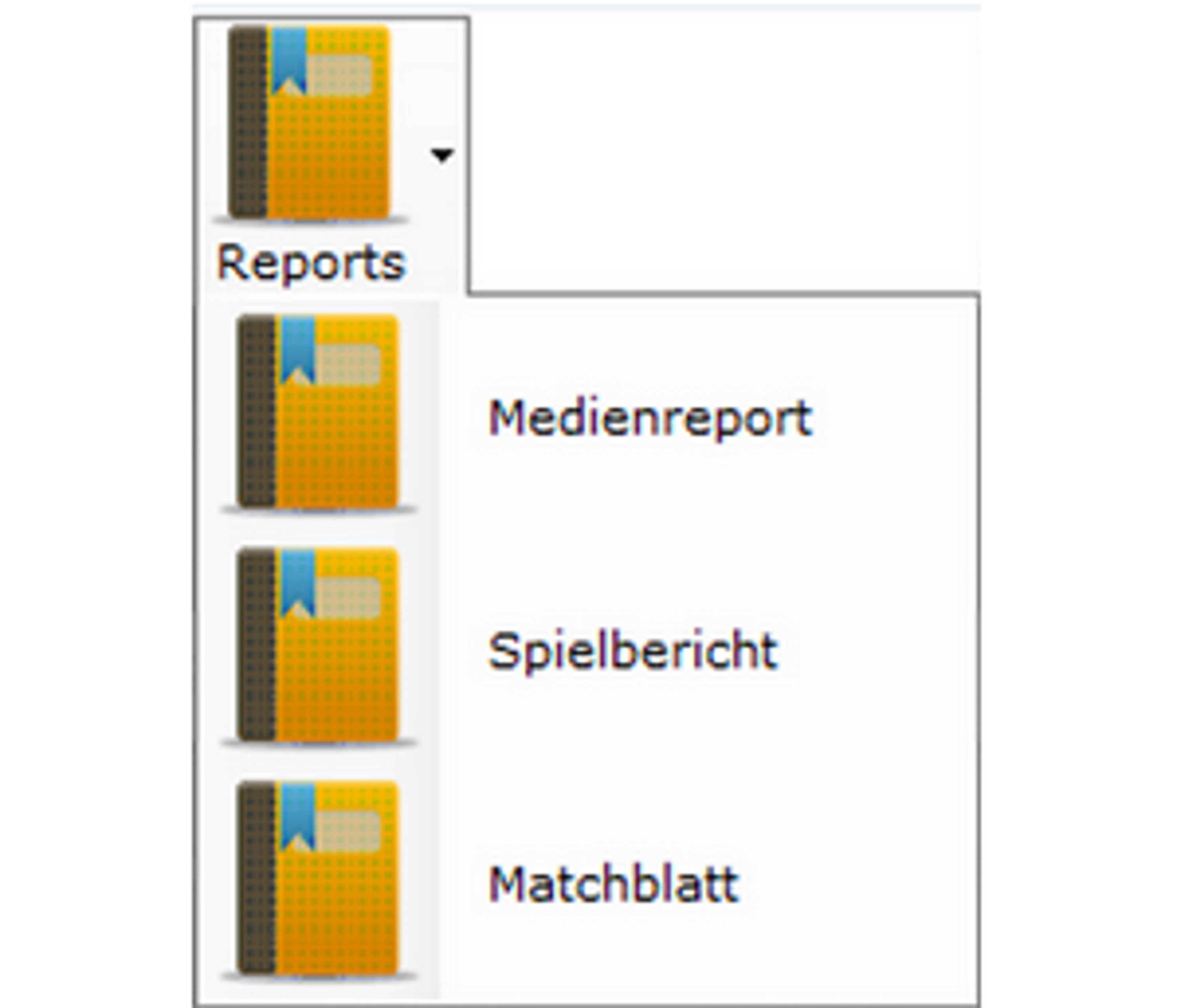LT 9 0 Menu Berichte DE