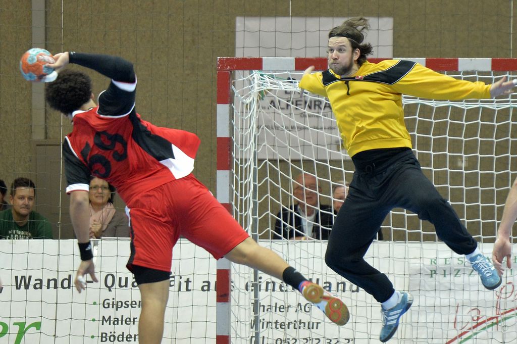 2013-12-29 SUI-EGY Bringolf Aurel1.JPG