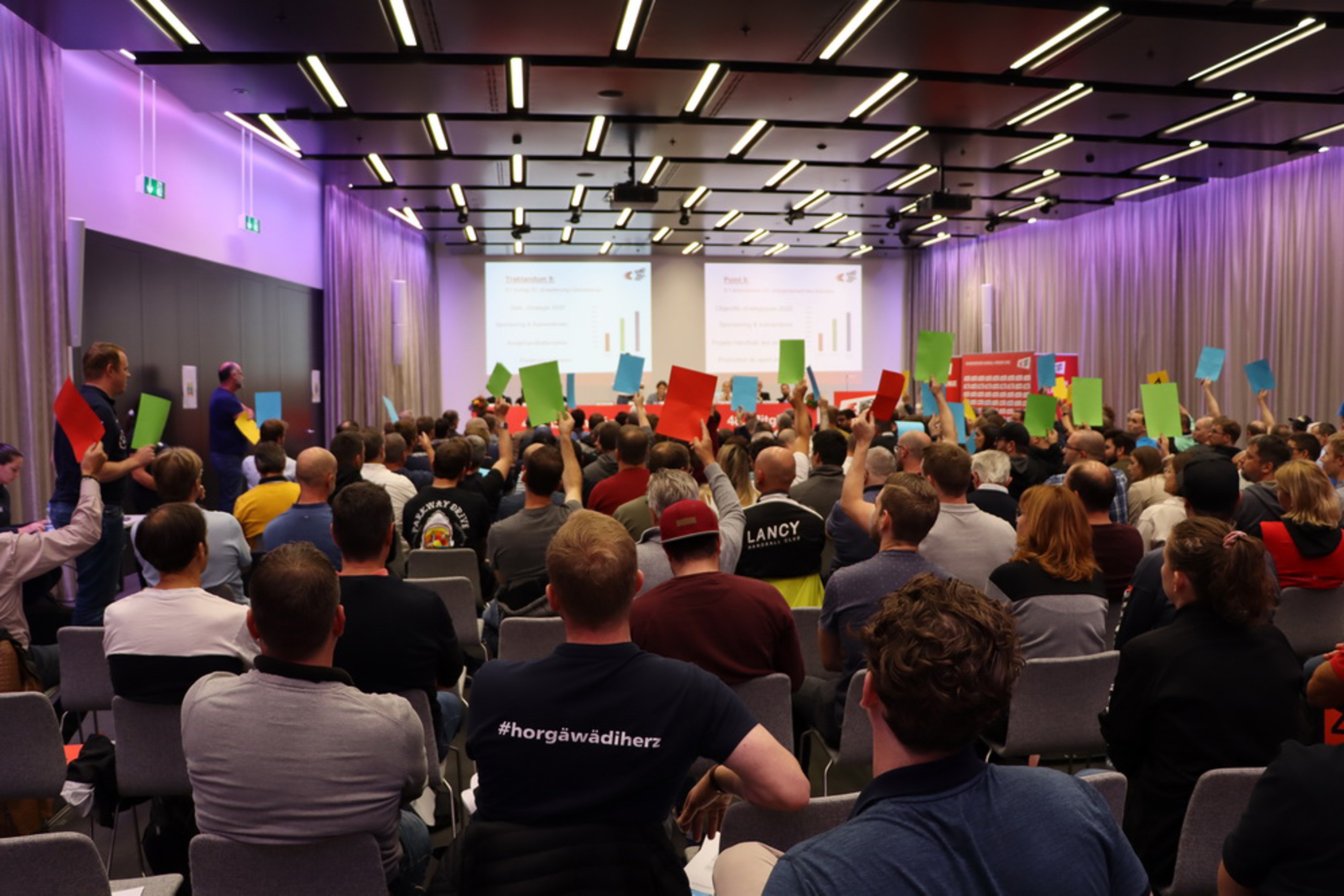 Abstimmung an der 48. MV des SHV in Olten