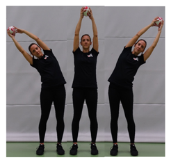 Scheibenwischer Komplett Scheibenwischer Komplett