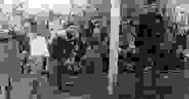 1954 06 13 SUI SWE Winterthur 4 1954 06 13 SUI SWE Winterthur 4