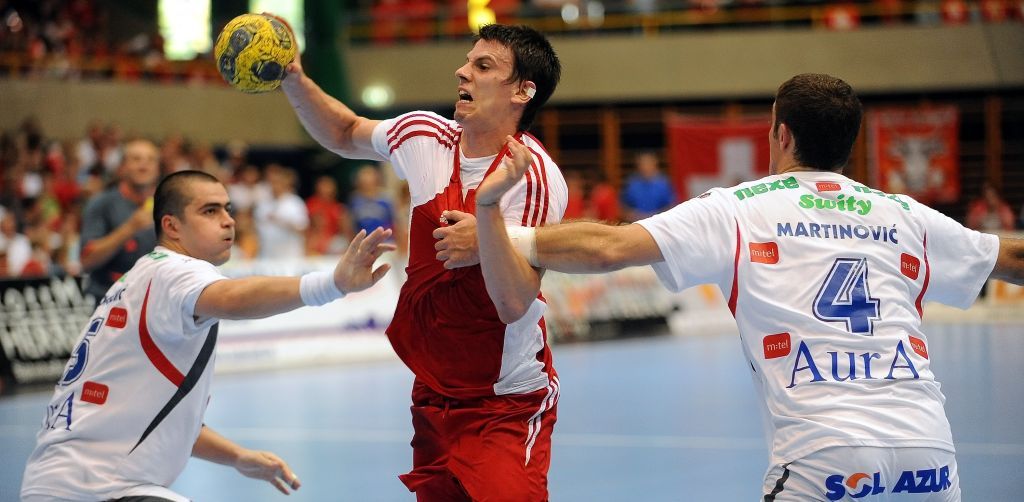 2009-06-14 CHbih10_schmid3.JPG