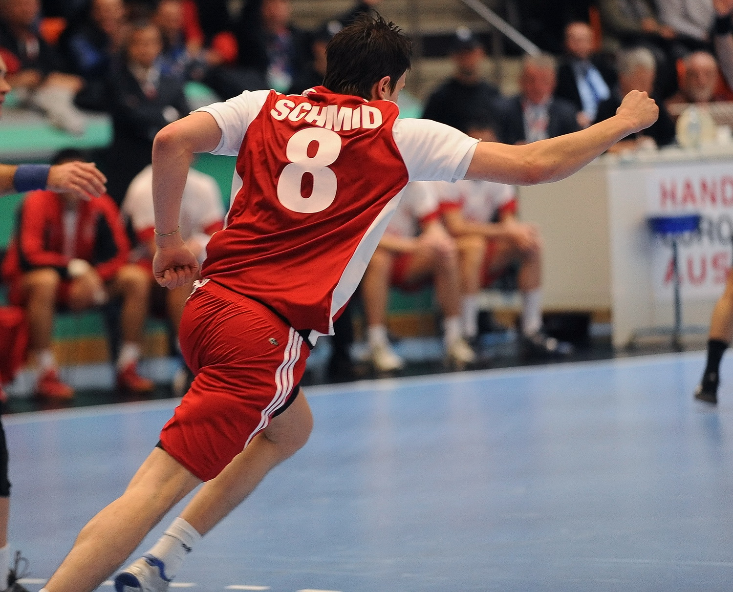 2008-11-26 SUI-SRB EM-Quali 32-32 092 Schmid.JPG