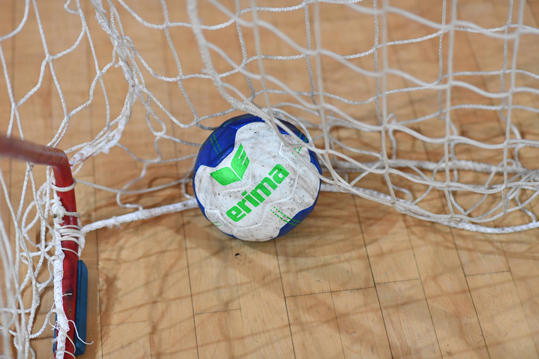 Symbolbild Handball im Netz Nov.2021