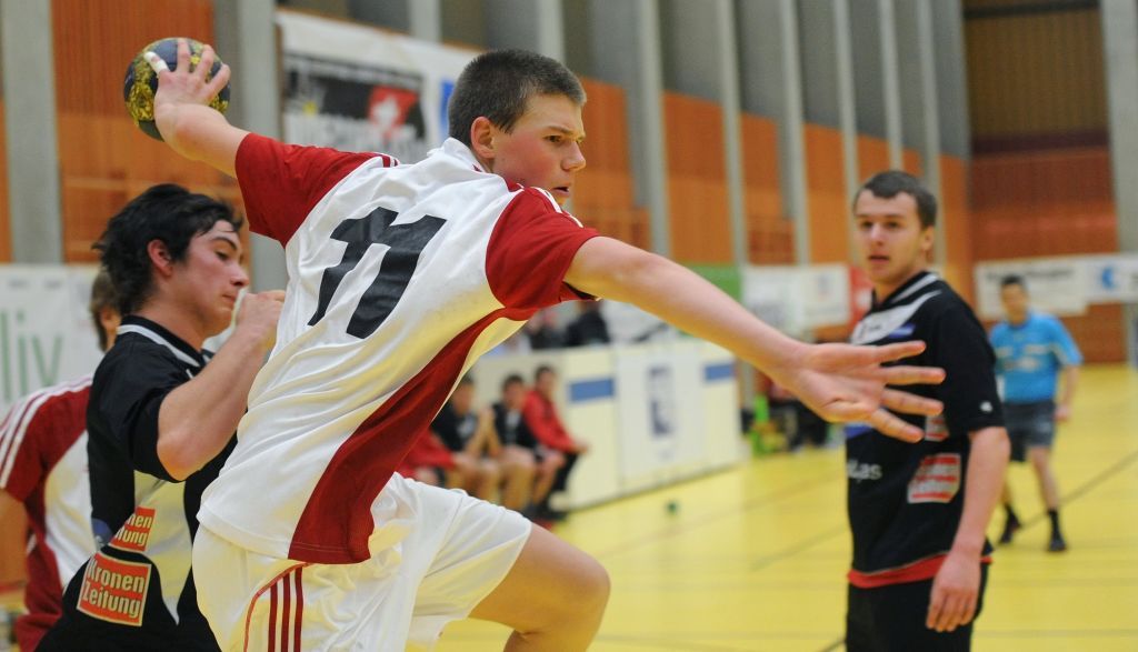 2011-01-22 delhees ron_awa_handU17CHaut_(32).JPG