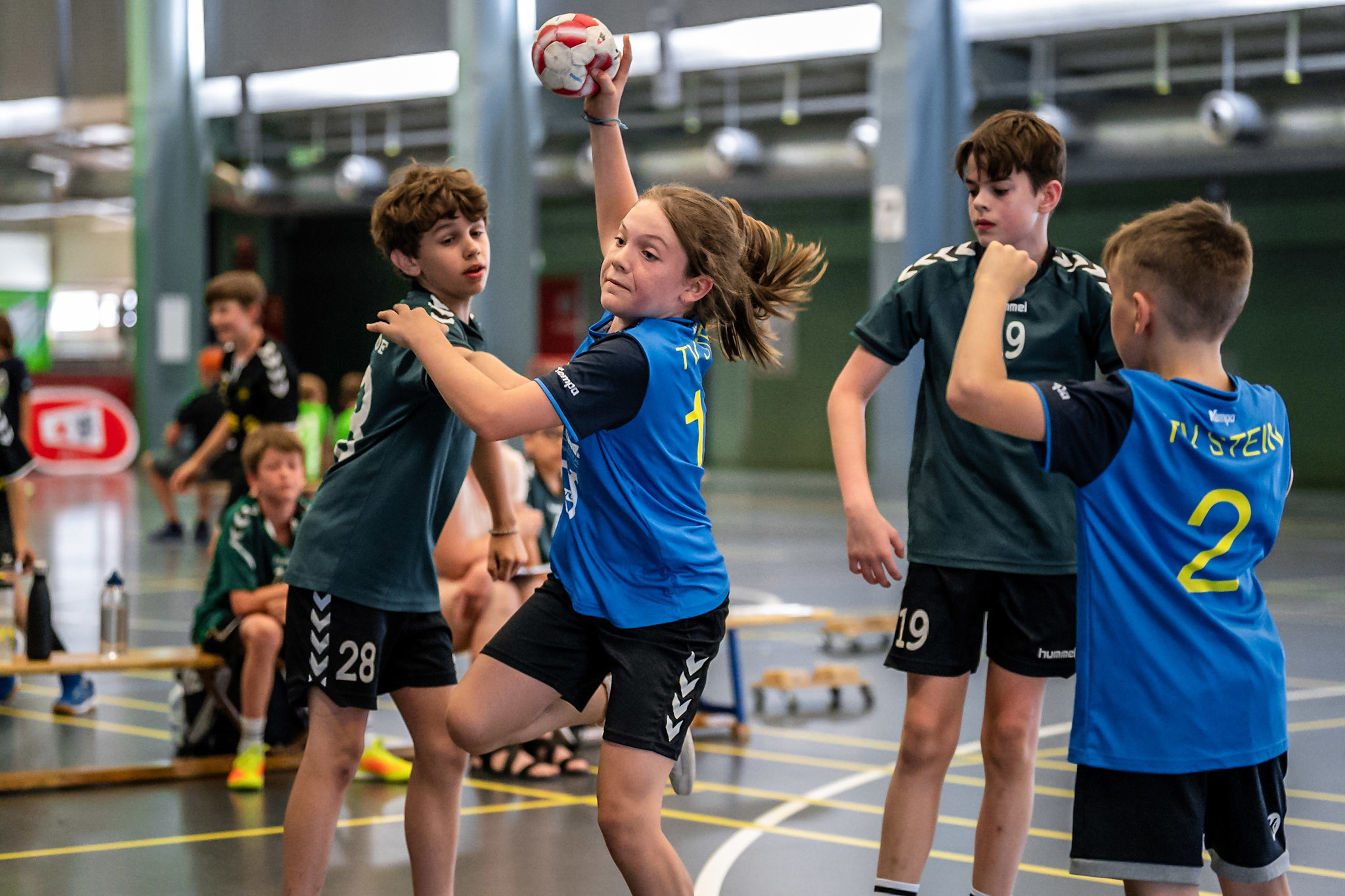 TV Stein am Kinderhandball Festival