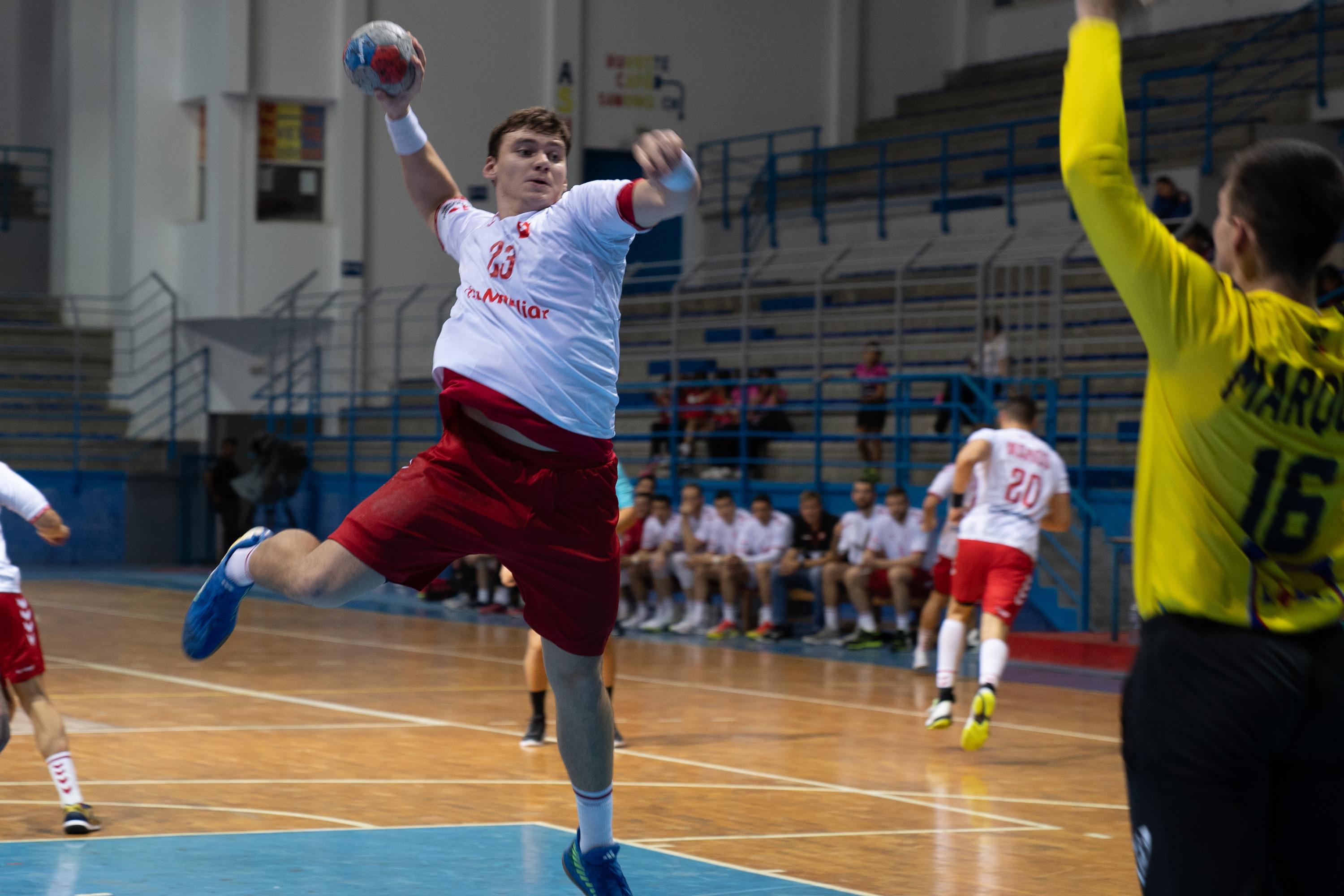 Laube gegen Portugal