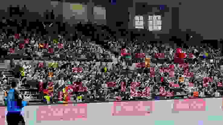 SUI BEL 15 SUI BEL 15