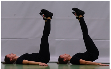 Toter Käfer Komplett Toter Käfer Komplett