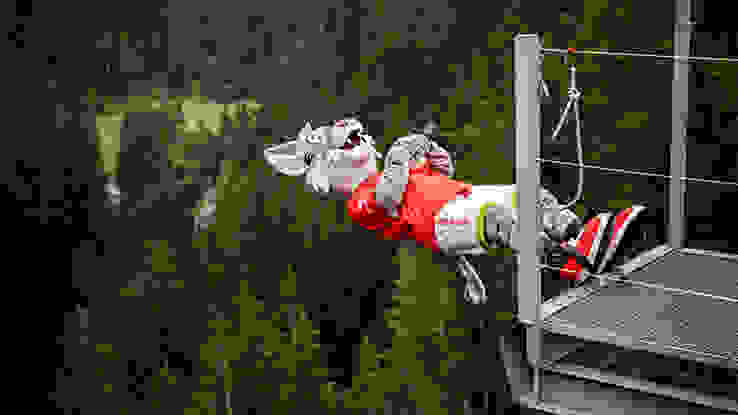 Catchy macht Bungee Jump im Tirol Catchy macht Bungee Jump im Tirol
