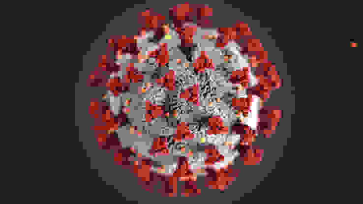 News Corona News Corona