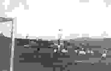 1956 05 20 JUG SUI 14 9 Niesch 4 1956 05 20 JUG SUI 14 9 Niesch 4