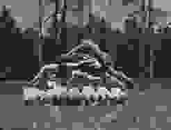 Historisches Archiv0001 Historisches Archiv0001