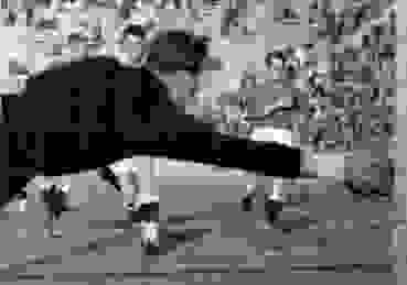 1938 07 10 GER SUI Berlin Bild 2 Rolf Faes Bildgröße Ändern 1938 07 10 GER SUI Berlin Bild 2 Rolf Faes Bildgröße Ändern