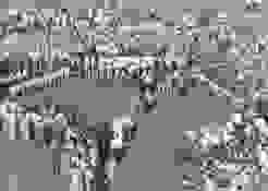 1955 07 10 WM Siegerehrung 3. Schweiz 1955 07 10 WM Siegerehrung 3. Schweiz