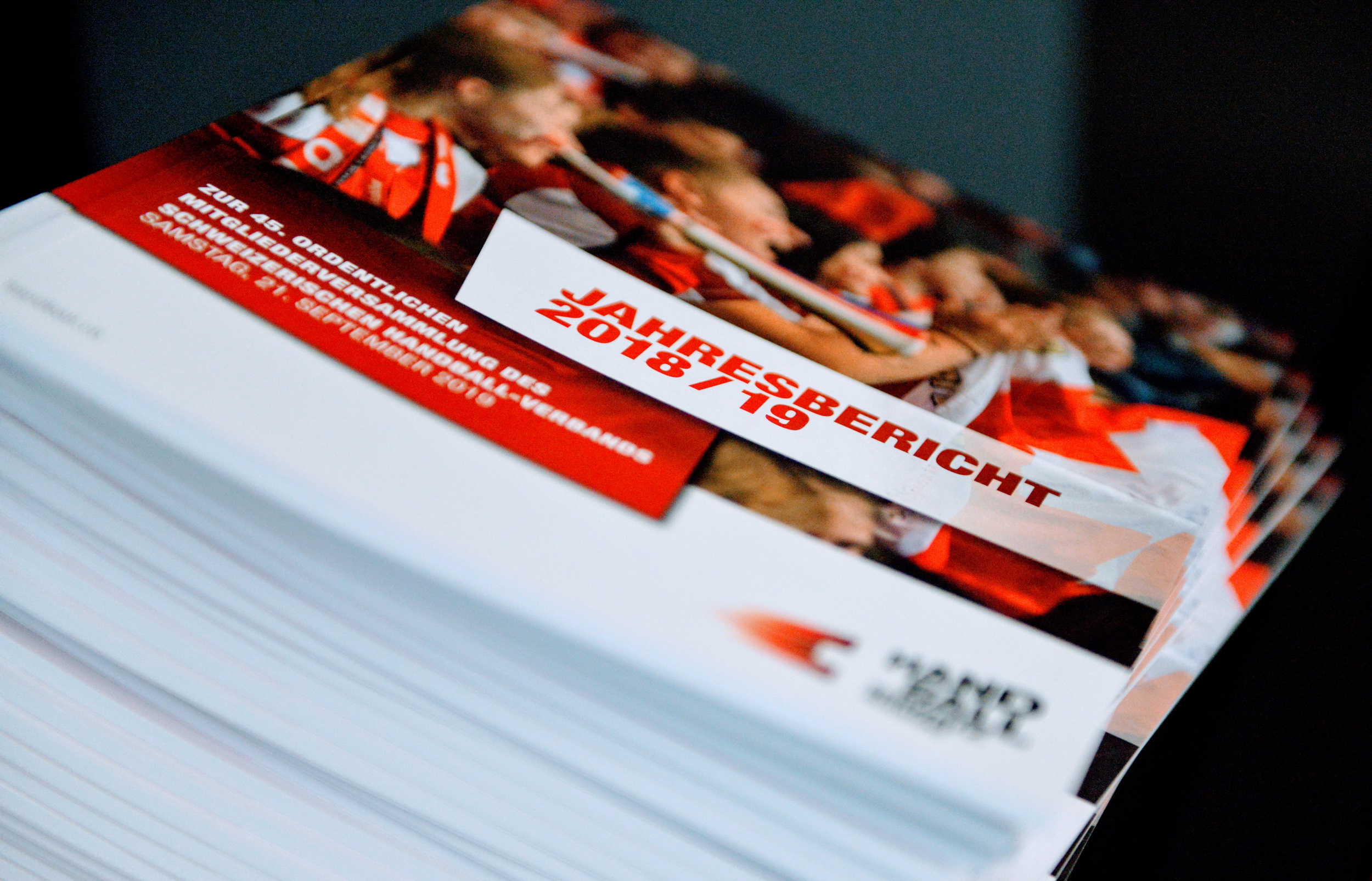 Mitgliederversammlung 2019 In Olten Jahresberichte