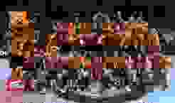 Schweizer Meister 2018/19: Kadetten Schaffhausen (Bild: Alexander Wagner) Schweizer Meister 2018/19: Kadetten Schaffhausen (Bild: Alexander Wagner)