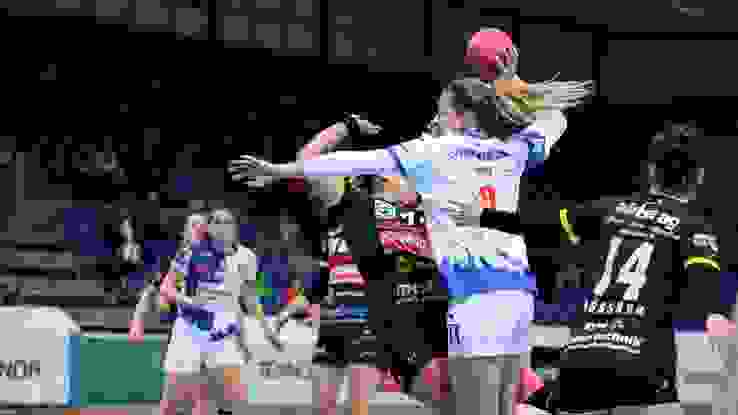 Csm DSC 3142 28Ab384a76 Csm DSC 3142 28Ab384a76