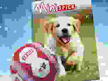 Abowerbung Minispick 4X3 Abowerbung Minispick 4X3